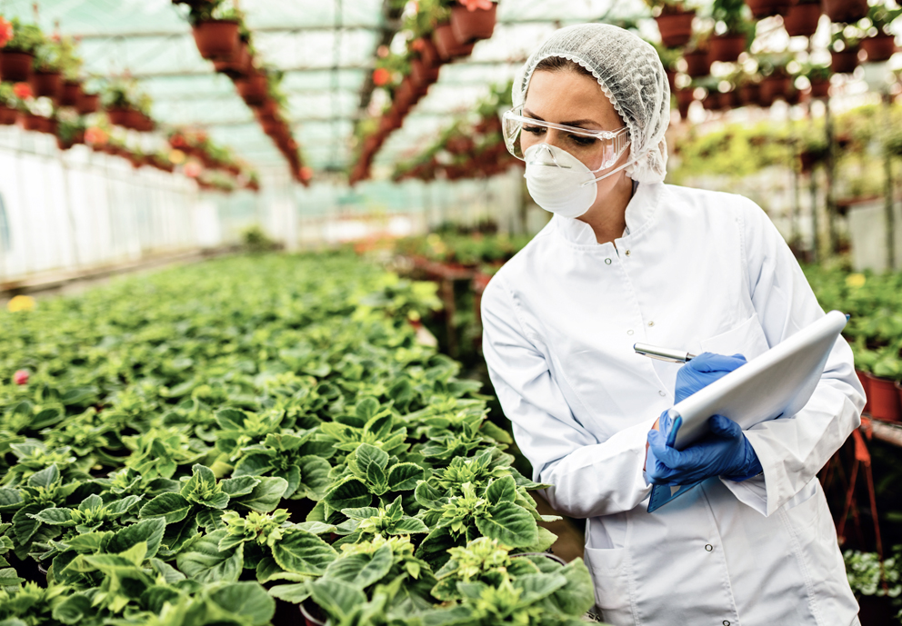 AGRICULTORES SOLICITAN PERSONAL | +100 PUESTOS DE TRABAJO | CON Y SIN EXPERIENCIA